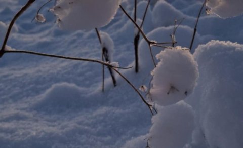 Opnunartími yfir jól og áramót