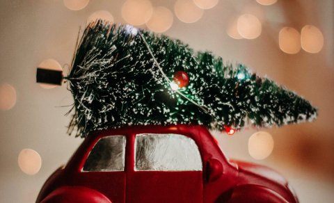 Jólatré og bíll