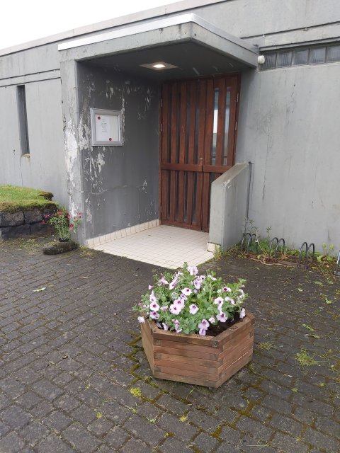 Blómin við Skeiðalaug