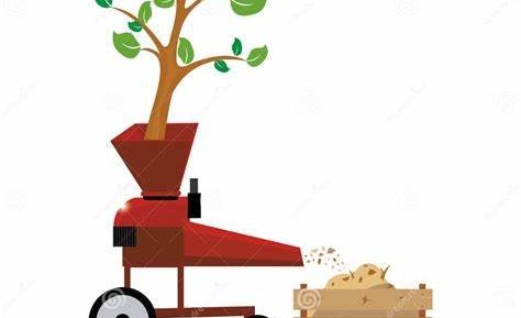 Trjákurlari á ferð