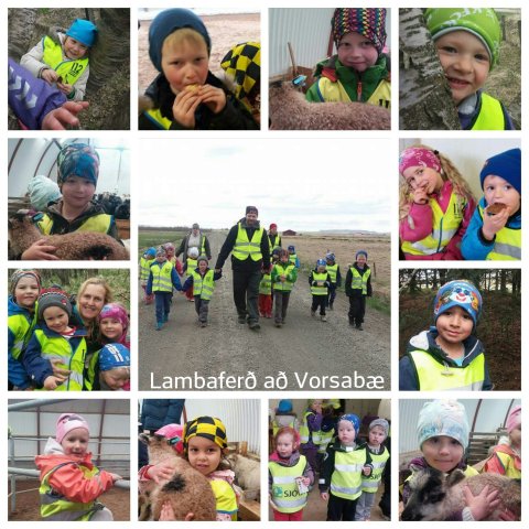 Lambaferð Leikholts að Vorsabæ 2- 2016