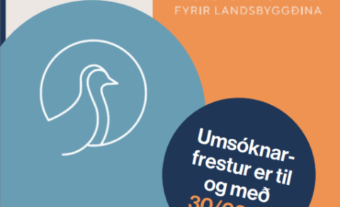 Lóan - nýsköpunarsjóður