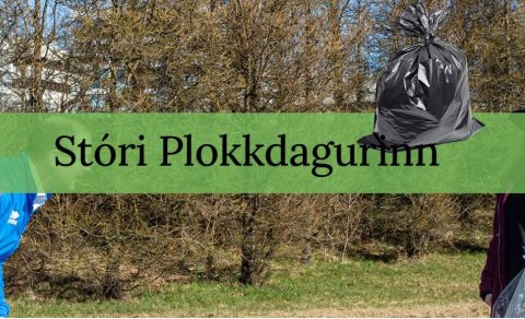 Mynd af heimasíðu plokkdagsins - plokk.is