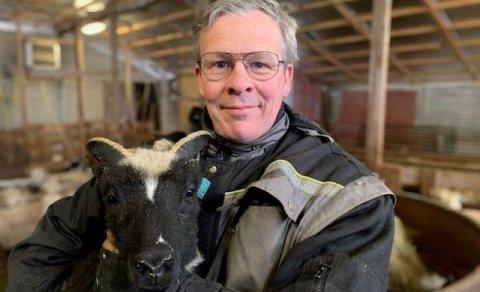 Presturinn í fjárhúsunum