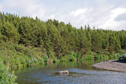 Sandá í Þjórsárdal