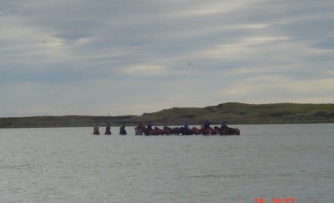 Hópur reiðmanna á leið yfir Þjórsá