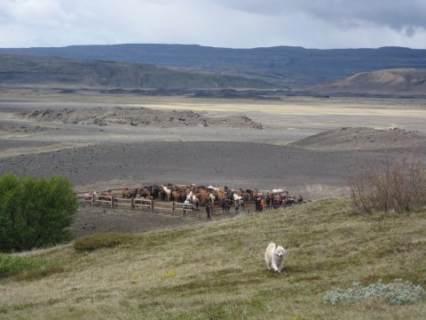 Ferðamáti eldri tíma