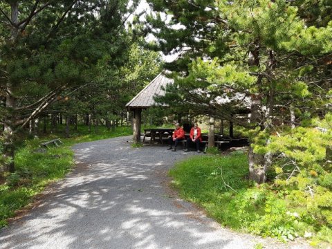 Skógarskýli Skógræktarinnar