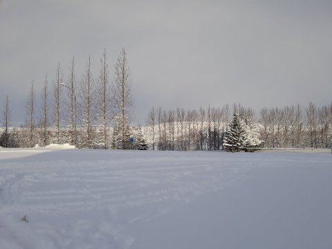 Vetur 2018 í Árnesi