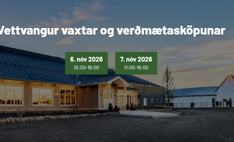 Mótun sögu Suðurlands