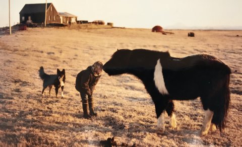 Vilborg hestakona á Eystri Hellum